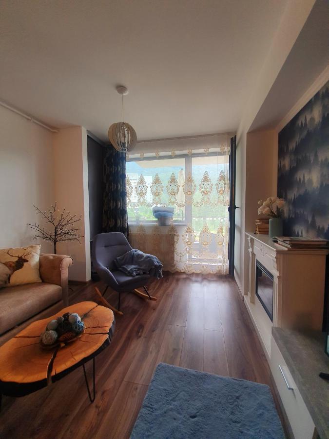 Vintage Home Sinaia Bagian luar foto